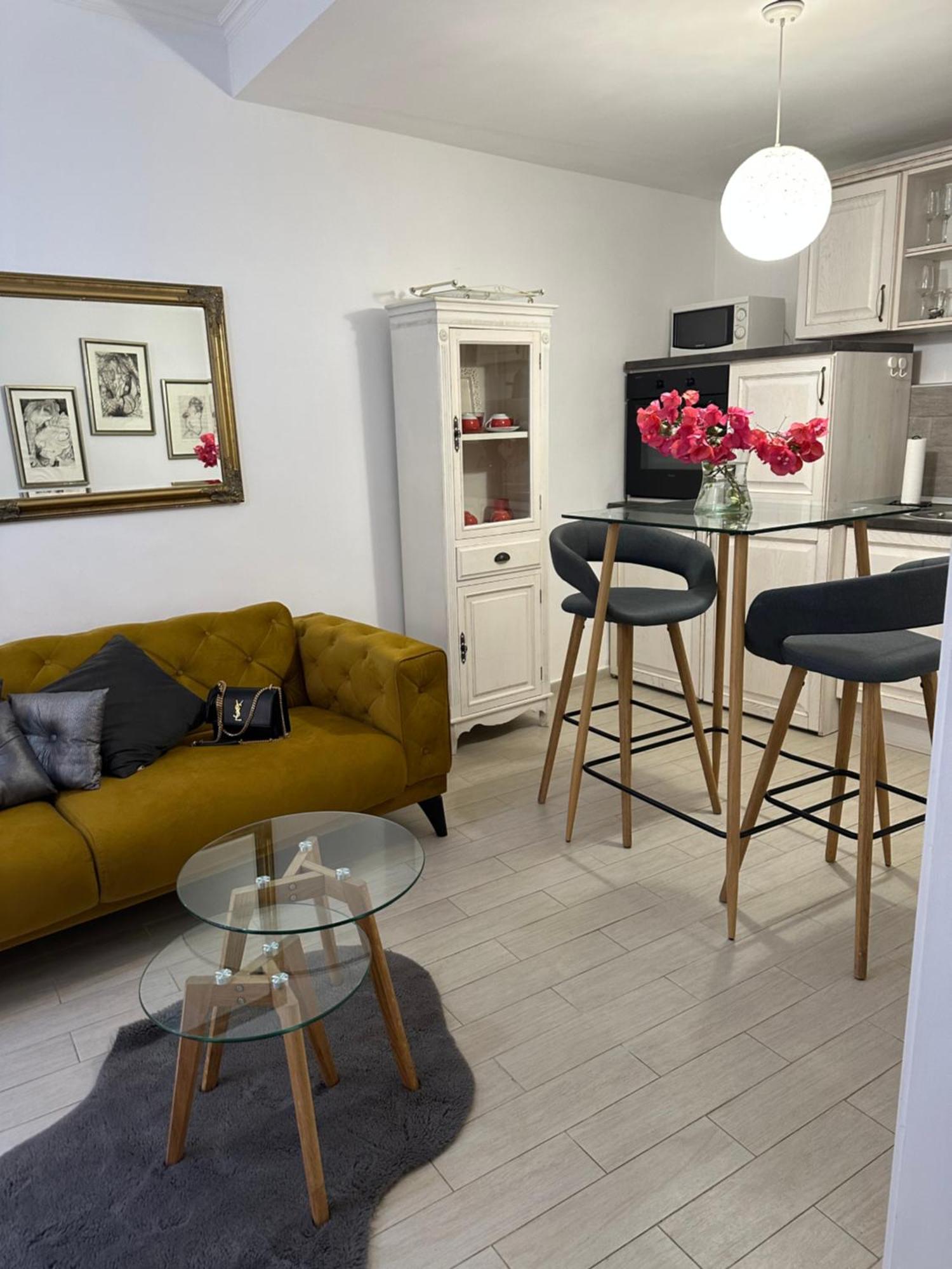 Apartment Banovac 2